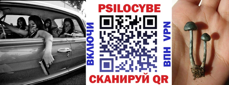 kraken ссылки  что такое   Снежногорск  Псилоцибиновые грибы GOLDEN TEACHER 
