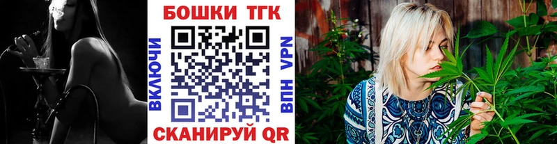 где купить   KRAKEN вход  Шишки марихуана LSD WEED  Снежногорск 